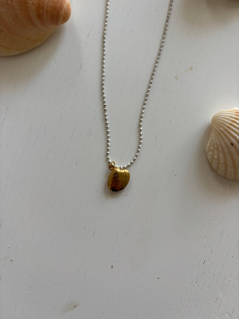 White Shell Necklace