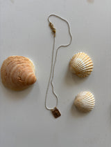 White Sea Shell Necklace
