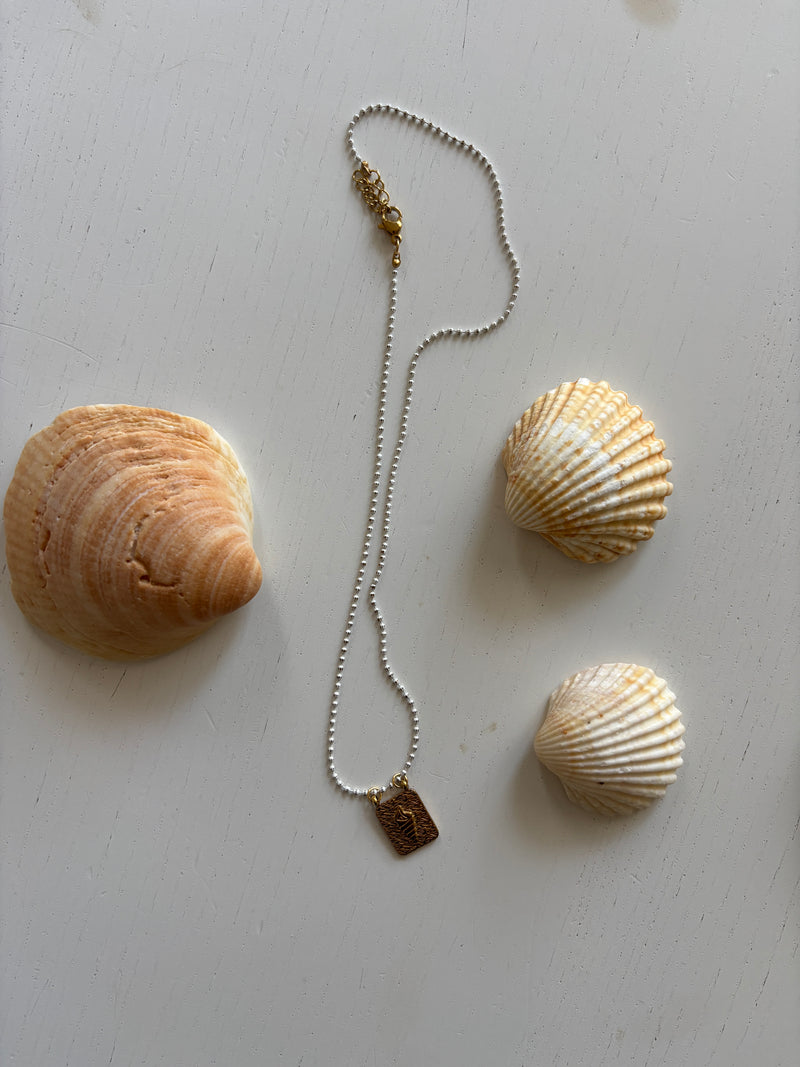 White Sea Shell Necklace